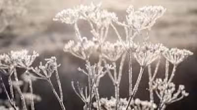 Met Office warns Arctic air will bring another cold snap to the UK