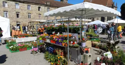 Apremont Sur Allier : la fête des plantes d’Autrey revient ce week-end