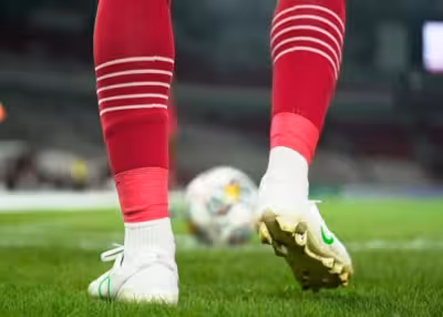 Coupe du Monde 2026 : la Norvège des Bleus séduit déjà 67% des Français