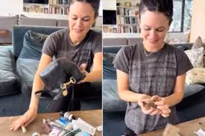 Rachel Bilson reveals the surprising contents of her everyday handbag