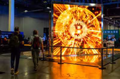 Zcash surges as crypto backers bet on privacy coin's next leg