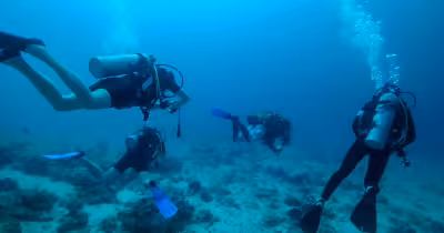 Maldives : cinq Italiens meurent lors d’une sortie de plongée