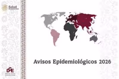Mexico Hantavirus: emiten aviso por brote internacional y refuerzan vigilancia