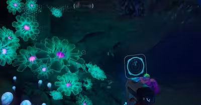 Conduit Crystal Subnautica 2 rare find gates key early-game crafting