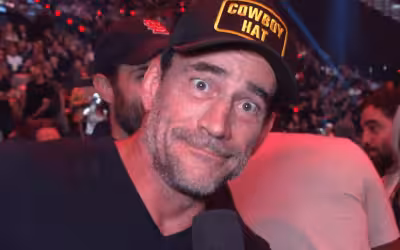 Cm Punk Ufc: Punk backs Rousey before Netflix MMA main event in Inglewood
