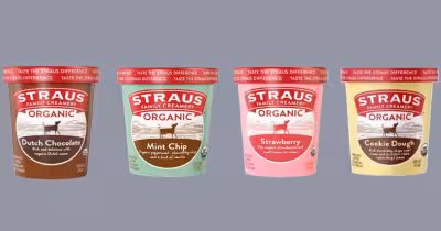 Fda Straus Ice Cream Recall: Organic pints and quarts pulled in 17 states