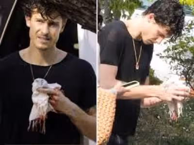Shawn Mendes mit blutender Hand in Beverly Hills gesehen