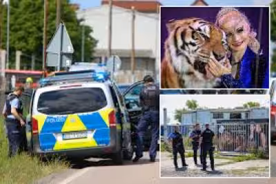 Police shoot escaped tiger near Leipzig linked to Carmen Zander