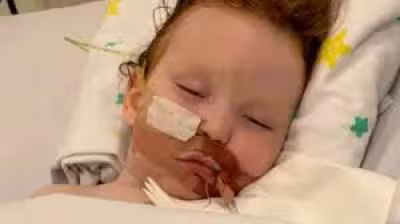 Creative Metallic Cake Dust Recall Prompts Warning After Boy’s Hospital Ordeal
