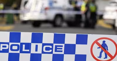 Nsw police make 993 arrests and seize 94 guns in domestic violence sweep