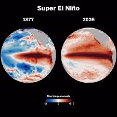 Pacific Ocean warming raises odds of a strong El Niño by winter