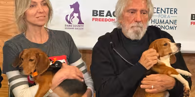 Beagle : Debbie Gibson et Geezer Butler saluent l’adoption de 1 500 chiens