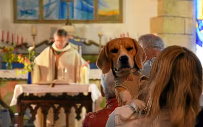 Animal De Compagnie : la chapelle Saint-Compars relance son pardon le 25 mai à Lospars