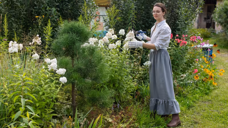 Perennial star Sarah Eberle wins top prize at Chelsea Flower Show