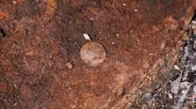 Hms Victory Mast Coins uncovered beneath foremast to go on display