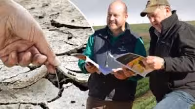 Tasmania Weather drives drought pressure as beef prices may shift soon