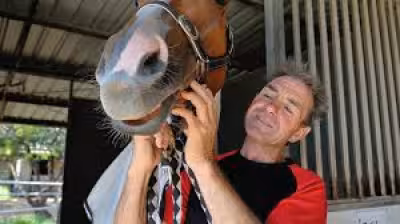 Shane Mcgovern Jockey dies after Charters Towers trackwork tragedy