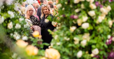 Chelsea Flower Show Backlash Deepens as RHS Faces Losses and Dissent