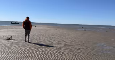 New Orleans climate startups turn waste and data into coastal defenses