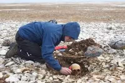 Hms Erebus sailors identified by DNA as wreck artefacts go on display