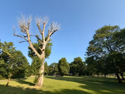 Weather Nottingham: 32C heat forecast as amber alert covers East Midlands