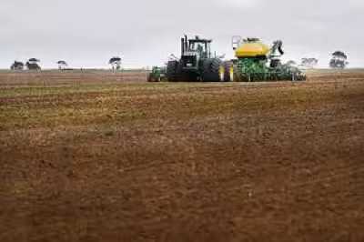 Drought relief lifts Wimmera crops after weekend rain across key districts