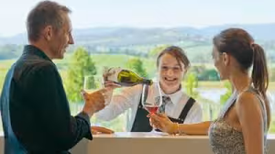 Endeavour Group dumps prestige wineries as Jayne Hrdlicka shifts cost focus