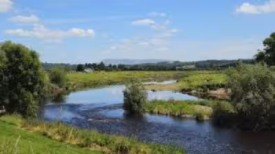 Search continues for boy missing after swimming incident in Ribchester river