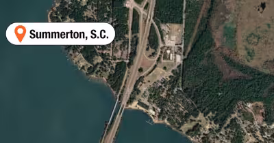 Umbrella blows into South Carolina diner, killing 56-year-old woman