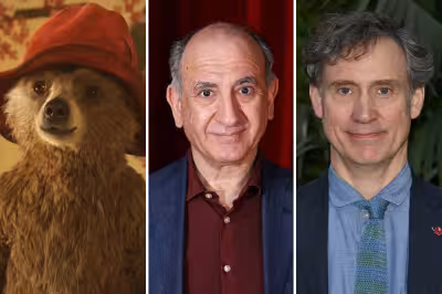 Armando Iannucci joins Paddington 4 as Studiocanal lines up sequel