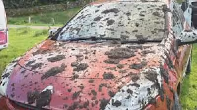 Slurry covers dozens of cars at Lake District beauty spot as parking anger grows