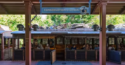 Disney: WDWMagic zeigt „Bluey's Wild World“ im Animal Kingdom