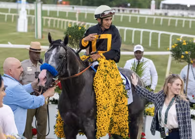 Napoleon Solo Preakness Sale sends colt to ESPOIR USA, keeps Haskell path