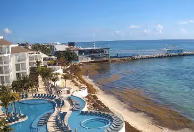 Cancun activates emergency sargassum operation after 8,000 tons removed