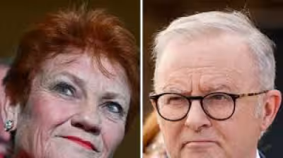 One Nation Polling shows Pauline Hanson could win up to 59 seats
