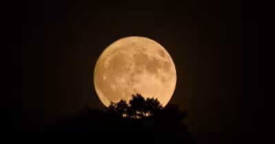 Vollmond am 31. Mai 2026: Blue Moon und Mikromond zugleich