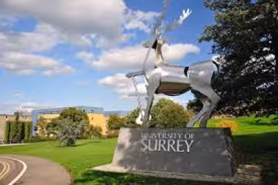 Crossbow attack at University of Surrey leaves staff member seriously hurt