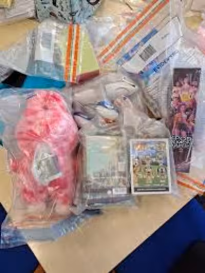 Cleethorpes parents warned after Stockton seizes 140 Squishy Bun Dumpling toys