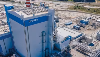Despidos Arauco: cerca de 100 trabajadores serán desvinculados este viernes