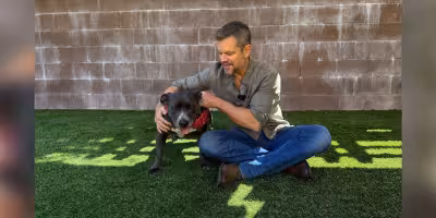 Matt Damon visits Eastwood Ranch for Dodo Dream Date with Betsy the pit bull