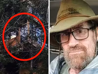 Aspen Treehouse Zoning Lawsuit Puts Matthew Franzen’s Home at Risk