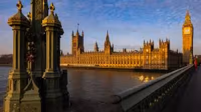 Vets urge ban on over-the-counter Flea Treatments at Lords inquiry