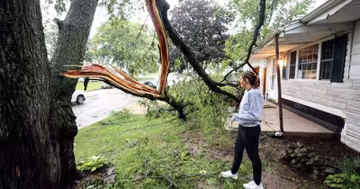 Strong winds topple tree onto home as storm batters Iowa towns
