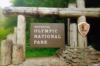 Joseph Louis Serrao Jr. identified from Olympic National Park remains after 26 years