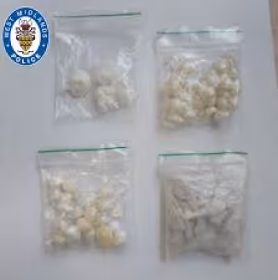 Suspected XL bully seized in Stevenage Police Raid after arm bite