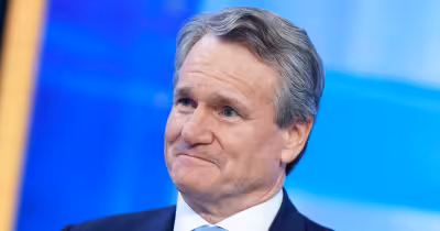 Brian Moynihan says the pet food aisle shows how the U.S. consumer is holding up