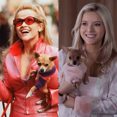 Legally Blonde prequel Elle premieres with Lexi Minetree and season-two renewal