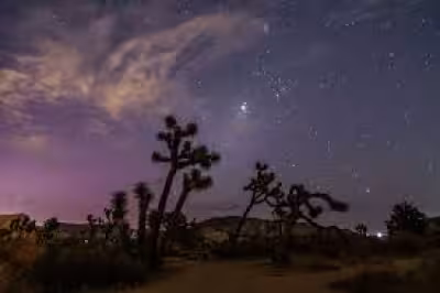 Perseid Meteor Shower Tonight: peak set for 12-13 August 2026
