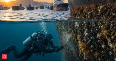 Science News: Nearly 1,500 ships trapped in the Persian Gulf raise bioinvasion fears