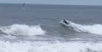 Newport Beach Shark Breach Video Shows Great White Behind Boogie Boarder
